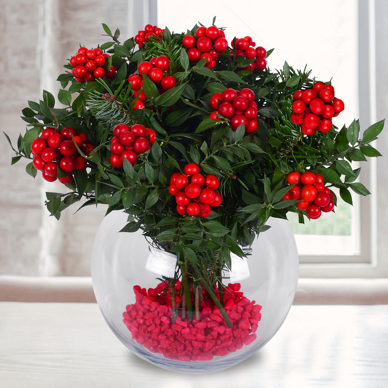 Yılbaşı Çiçeği Kokinalar